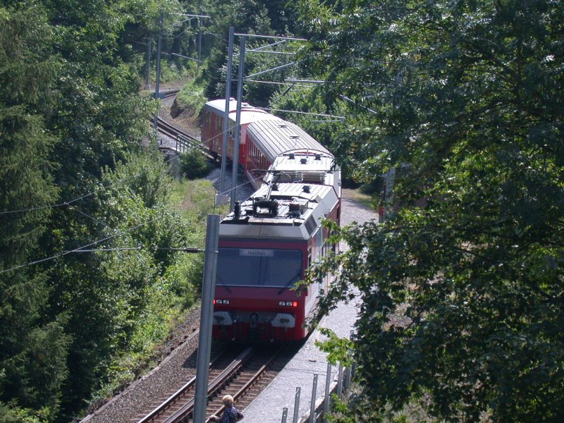 Haltestelle Wartensee am 13.07.2003. Der BDeh 3/6 schiebt den B10,einen Sommerwagen und den Velowagen B9 Richtung Heiden.