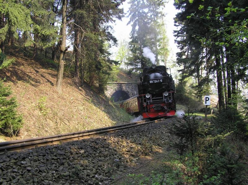 Harzer Schmalspurbahn bei Ausfahrt aus dem Tunnel kurz hinter der Steinernen Renne bei Wernigerode! 
