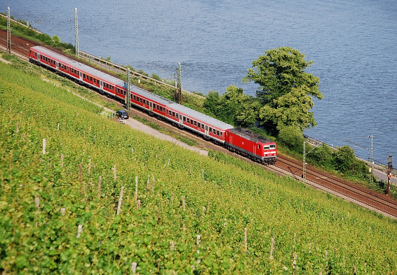 Hauptbahnromantik (Mittelrheintal). An der  Costa Rhenania  entlang fhrt RB 15426 nach Koblenz mit einer 143 aus dem Bahnhof Rdesheim aus. (12. Juni 2009) Muss doch dem Stefan mit seinen Weinbergkstenbildern auch mal Konkurrenz machen...