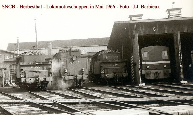Herbesthal war Jahrelang, bis zu die Elektrifizierung zwischen Lttich-Aachen, der Grenzbahnhof DB/SNCB, mit Lokschuppen, uzw.
Dieses Bild war einige Wochen vor dem Ende aufgenommen. 
Jetzt ist der Bahnhof 500 Meter westlich (Welkenraedt) und Lok Austausch findet in Aachen Hbf statt.  Herbesthal - 05/1966
Foto : J.J. Barbieux