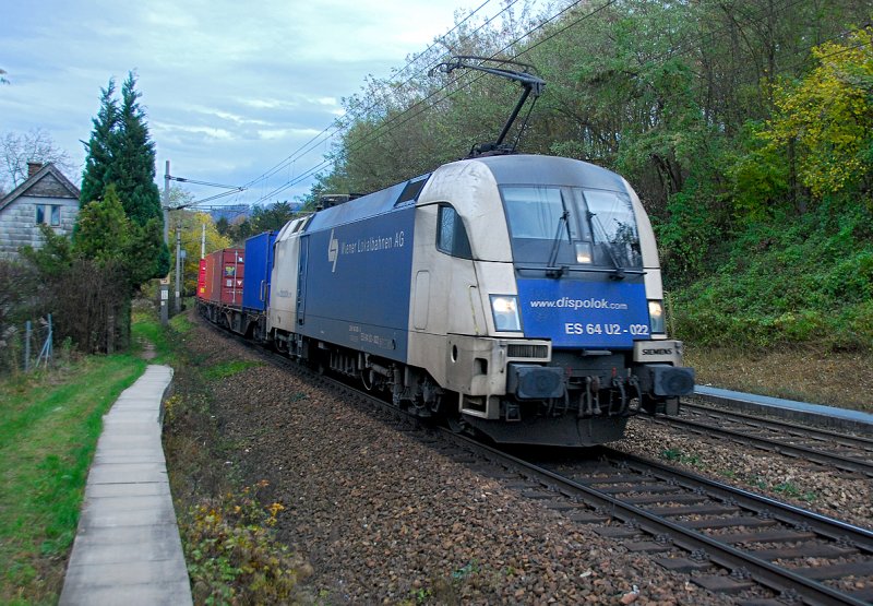 Herbst im Wienerwald. Wiener Lokalbahnen AG Dispolok ES 64 U2-22 mit Containerzug zwischen Eichgraben-Altlengbach und Unter Oberndorf Richtung Westen. Das Foto ist am 31.10.2008 entstanden.