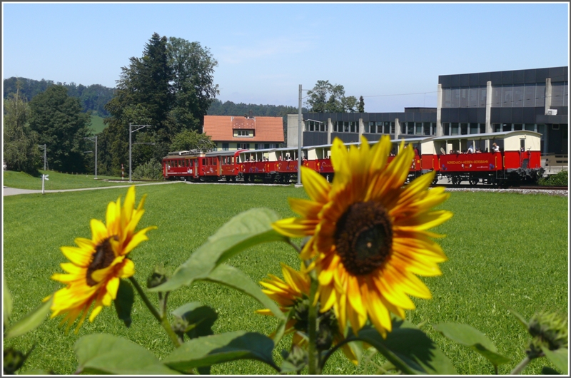 Heute gabs viel zu tun fr den ABDeh 2/4 23 plus Velowagen plus alle 5 Sommerwagen. Die Aufnahme entstand aus dem Garten meines Elternhauses in Heiden. (05.08.2009)