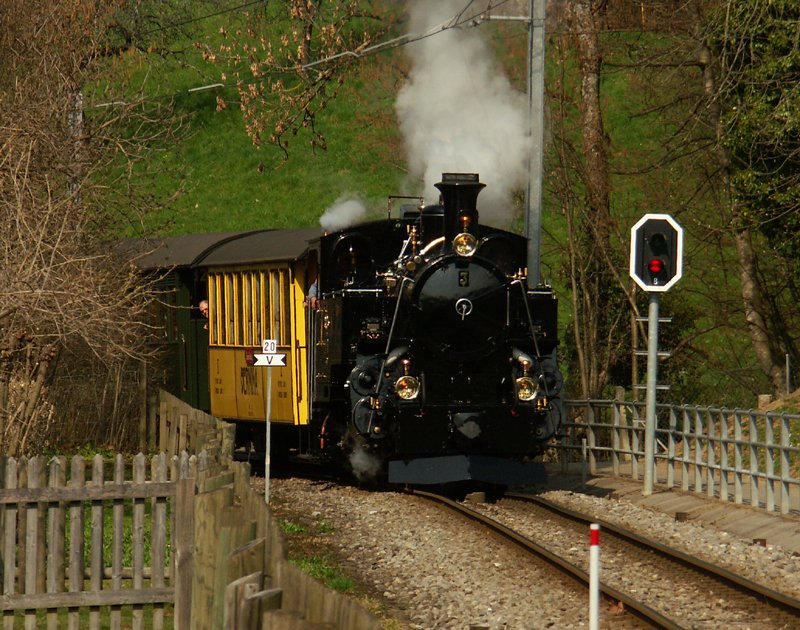 HG 3/4 3 ex DFB au Chteau de Blonay 04.04.2009