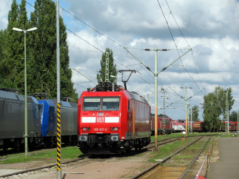 Hier ist 185 031-2, welche neben einer historischen Lok aus Halle F�hrerstandsmitfahrten anbot.