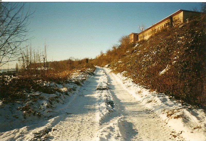 Hier begann einst die Steilstrecke vom Hafen zum oberen Bahnhof Sassnitz.Die Stadt Sassnitz plante mal auf der ehmaligen Strecke einen Radweg aber bis Heute hat sich nichts getan.Die Aufnahme ist vom Januar 2000.