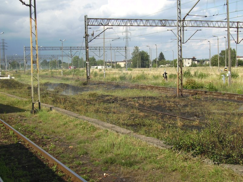 Hier Brannte das grass auf den Schienen weiter hinten brannt so viel, das der Gpterzugverkehr komplett eingestellt wurde!