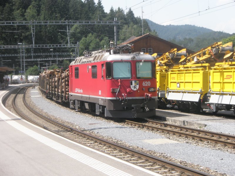 Hier ein Gterzug, abgestellt am 23.7.2009 in Rheichenau.