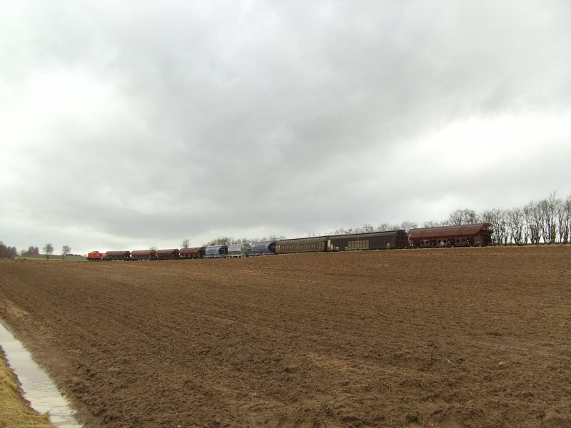 Hier hat sie es schon geschafft, es geht wieder bergab! 294 898 mit der Mittglichen bergabe von Hirschau nach Amberg. (18.01.2008, Strecke Amberg-Schnaittenbach)