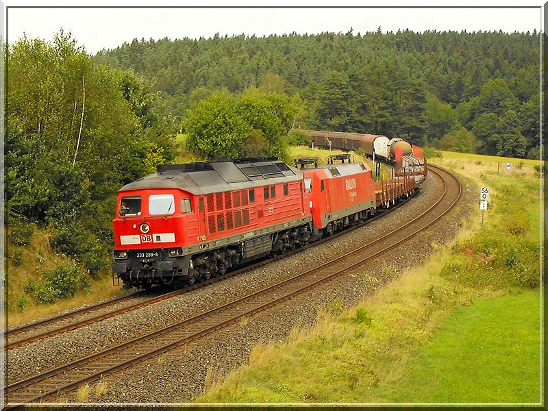 hier konnte ich noch eine interessante Sichtung machen.233-283 zieht eine 152 mit einem langen GZ nach Nrnberg.(Ranna,17.08.2009)