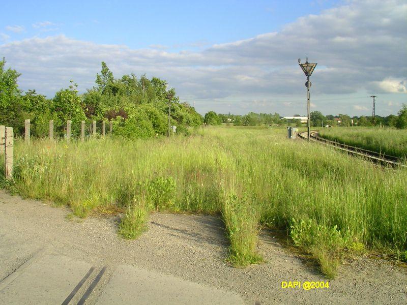 Hier mal ein Blick auf die Strecke Richtung Torgau. Seit dem der Bahnverkehr 1996 eingestellt wurde, ist die hier alles zugewachsen. Dennoch sollen hier bald wieder Zge fahren.