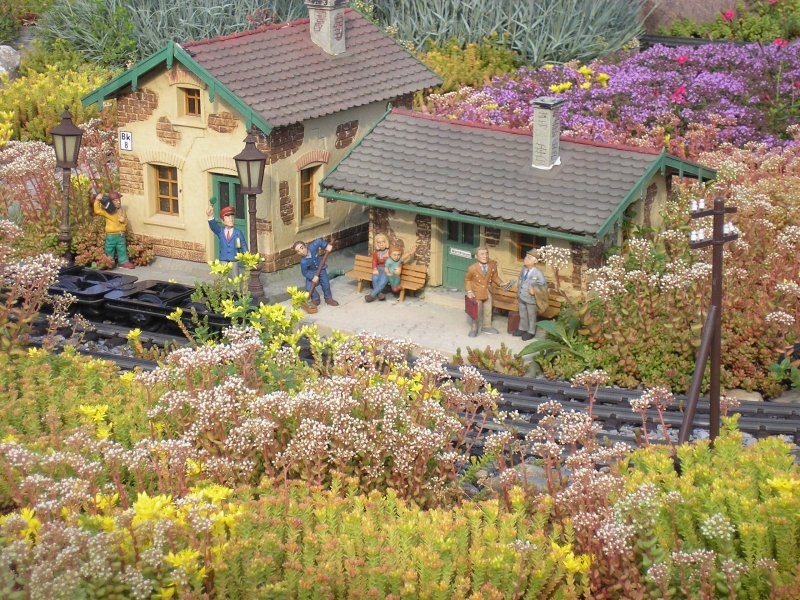 Hier ist mal ein Feinschnitt ntig, ende Juni wachsen die Pflanzen auf meiner Bahn sehr hoch und wuchern alles zu.