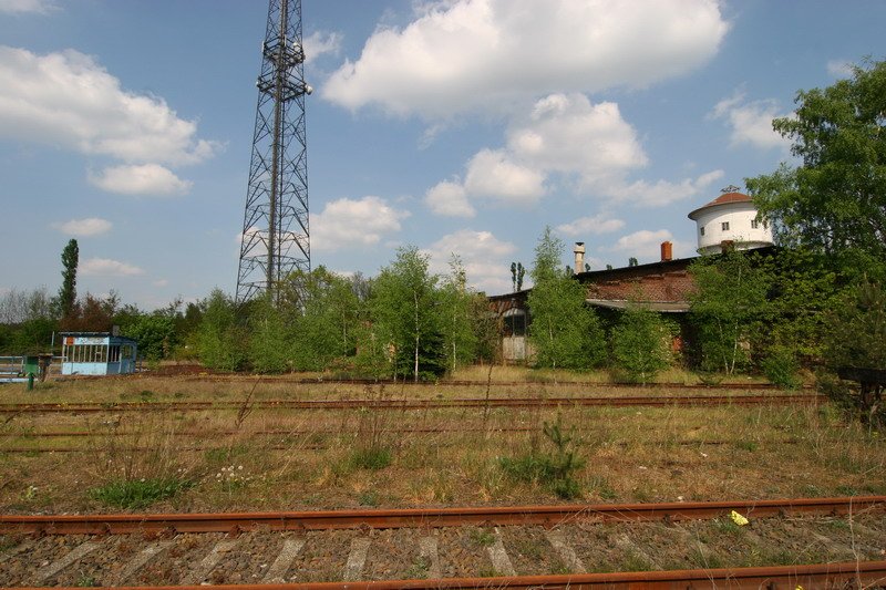 Hier sieht man das traurige Ende des Lokschuppen in Ludwigslust. Die Bume zwischen der Drehscheibe und dem Lokschuppen sind schon hher wie die Schuppentore. Hier fhrt wohl keine Eisenbahn mehr rein. 03.05.2007