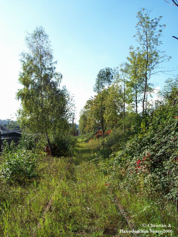 Hier sind frher einmal Gterzge gefahren. Das Zufahrtsgleis zur Bekohlungsanlage 10/2006 in Dieringhausen gesehen.