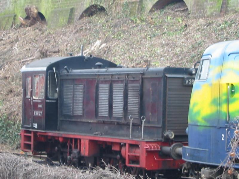 Hier steht die V36 in Neustadt zusammen mit einer 103.