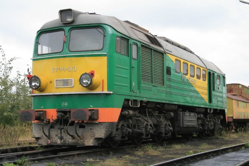 Hier wartet ST44-313 auf neue Aufgaben im Gterzugdienst.
Zamosc den 15.09.2008