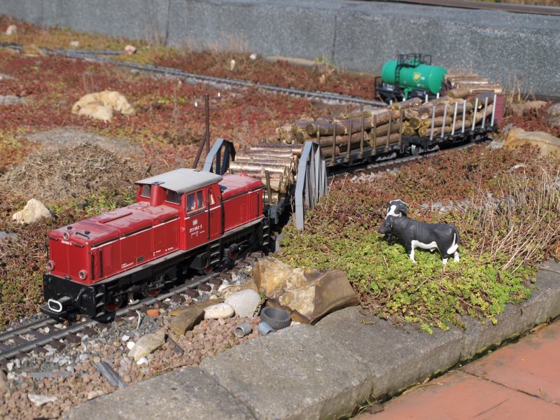 Hier zieht 251902-3 einen schweren Gterzug