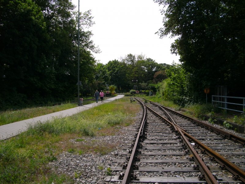 Hinter diesen Gleisende fuhren damals vor dem 2.Weltkrieg die Zge ber den Rhein, richtung Elsass-Lothringen.
Foto im Bahnhof Breisach am 10.05.2009.