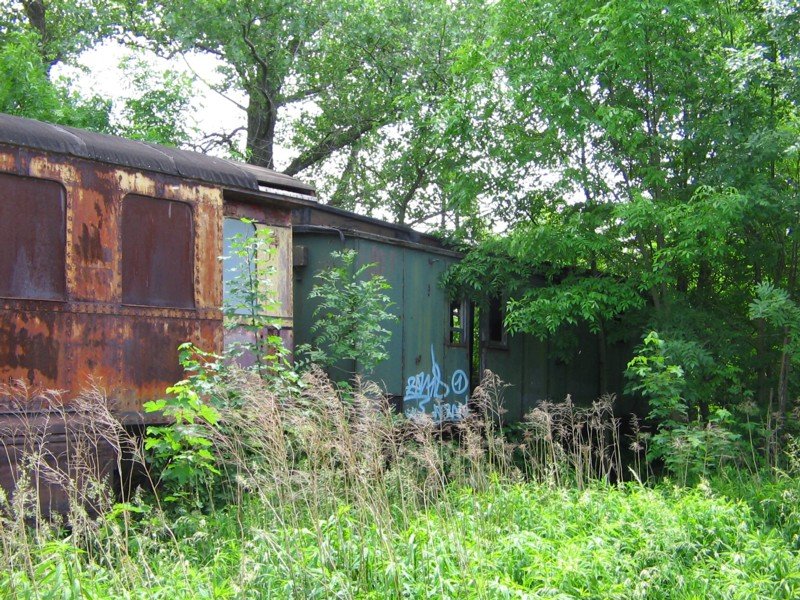 Hinter der einen AT-Hlfte war noch ein wunderschner alter Wagen, vermutlich ein ehemaliger Post oder Packwagen versteckt, 26.05.07