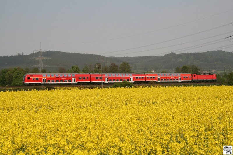 Hinter den herrlich gelb blhenden Rapsfeld fhrt am 1. Mai 2009 eine Regionalbahn kurz hinter der Haltestation in Gundelsdorf im Landkreis Kronach in nrdliche Richtung.