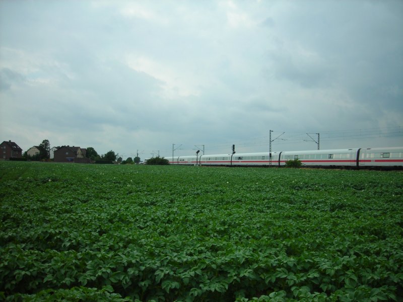 ICE2 (BR402) zwischen Haste und Hohenhorst.