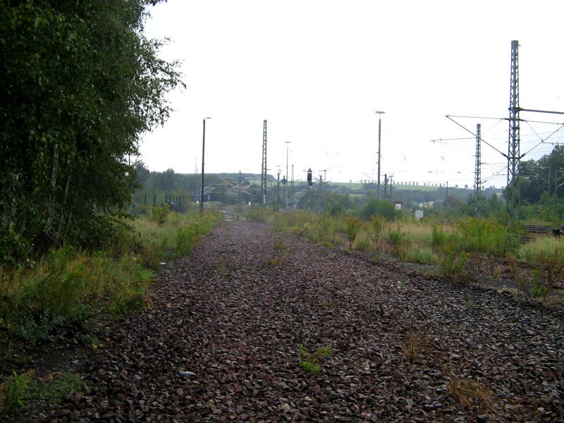 Im Bahnhof Glauchau wurden in den letzten Jahren viele nutzlose Gleise ausgebaut. Zurck blieb diese Schotterlandschaft, 09.09.07