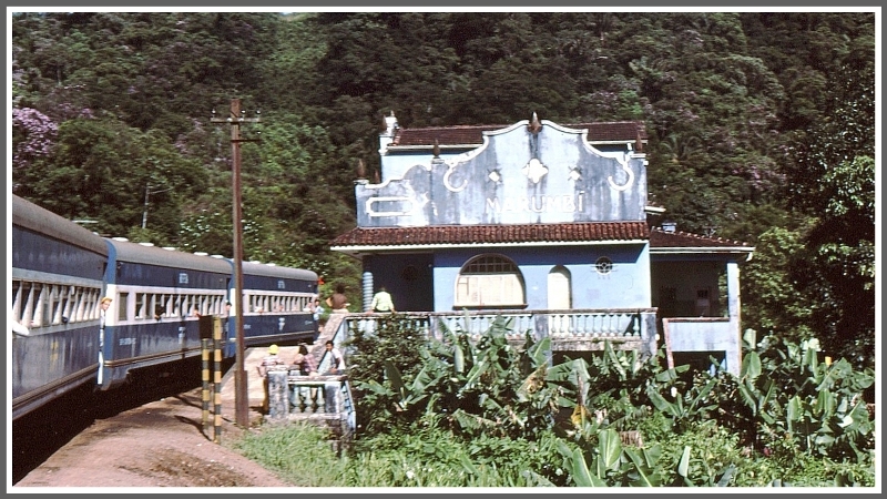Im Bahnhof Marumbi warten wir auf einen Gterzug, der von drei Lokomotiven bergwrts gezogen wird. (Archiv 02/1979)