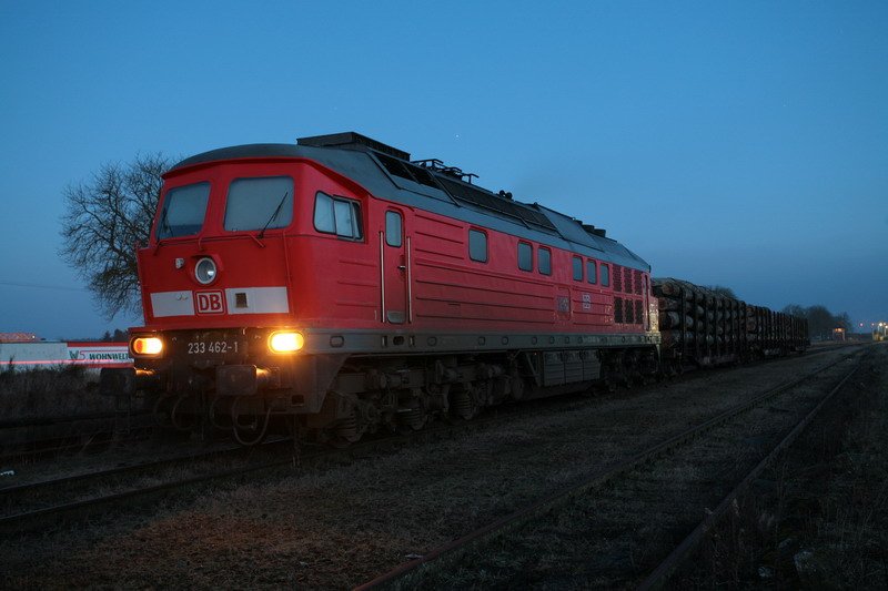 Im Bf. Malchow wartet schon die 233 462-1 mit ihren Holzwagons auf die Kreuzung der ODEG um danach zur Ladestrae weiter fahren zu knnen. 19.01.2009