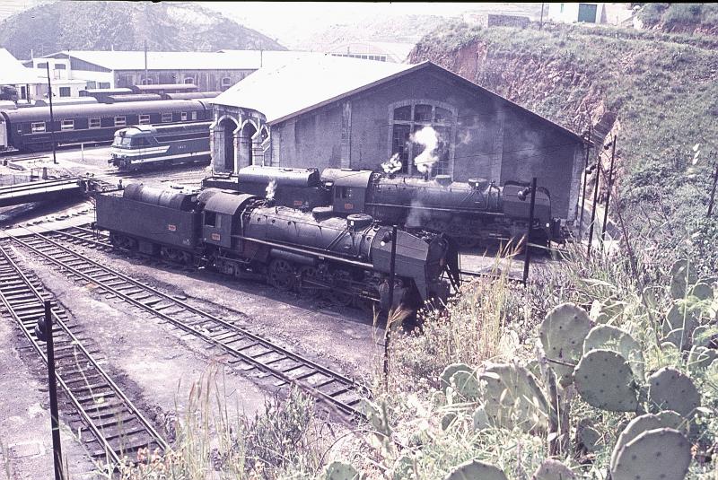 Im Depot Cerbere herscht zum Zeitpunkt dieser Aufnahme 36 Grad im Schatten kein Wunder das da nur Kakteen gedeihen (Sommer 1971)
