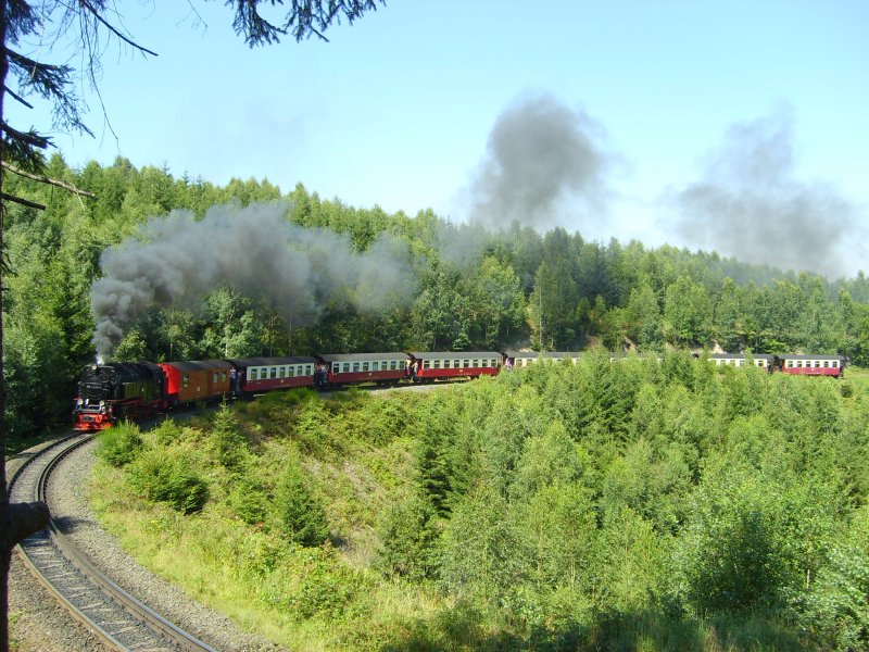 Im Drngetal schnauft diese 72 den Weg nach Drei Annen Hohne hinauf und wird von dort zum Brocken weiterfahren
5.8.2007 13.45