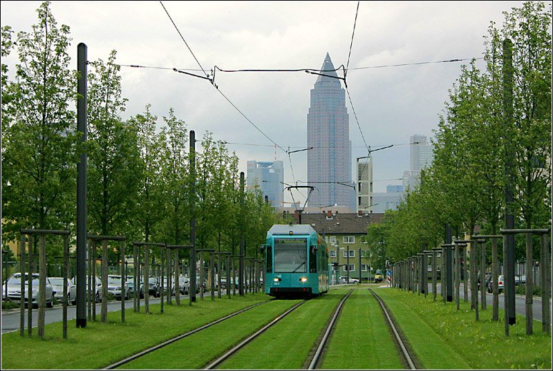 Im Grünen -

Auch im Bereich des Rebstockparkes wurde die neue Straßenbahnstrecke (Eröffnung 2003) mit einem Rasengleis versehen. Hier aufgenommen zwischen den beiden letzten Haltestellen.

01.06.2006 (M)