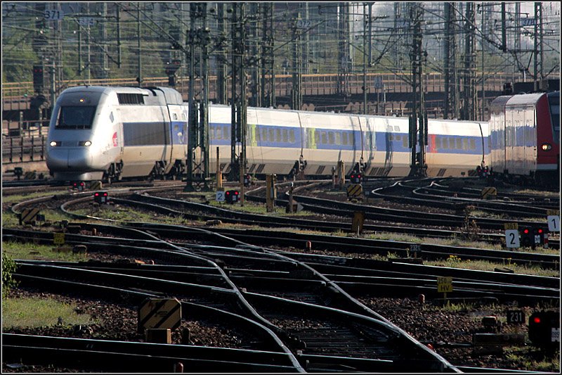 Im Licht der Morgensonne -

... sucht sein der TGV seine Weg durch das Gleisvorfeld des Stuttgarter Hauptbahnhofes. 

19.04.2009 (M)