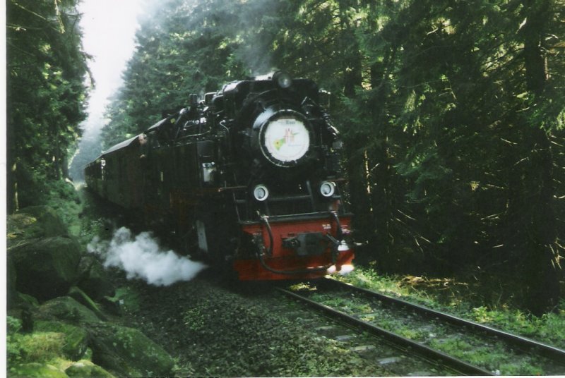 Im Mai 2005 erklimmt die 99 7232 mit ihrem zug den Brocken. Hier zu sehen am Bahnparallelweg.