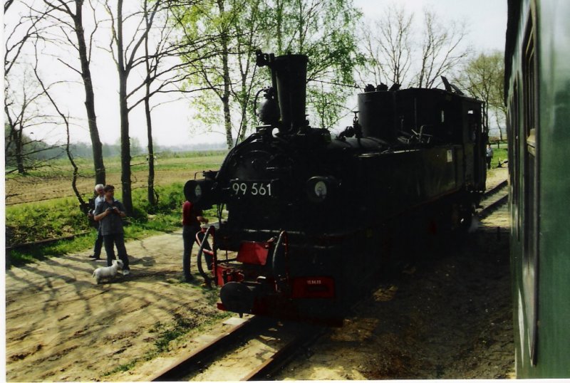 Im Mai 2005 war die 99 561 der Dllnitzbahn zu Gast auf der Pollo Strecke. Die Lok setzt hier gerade in Vettin um, um dann nach Mesendorf zurckzufahren