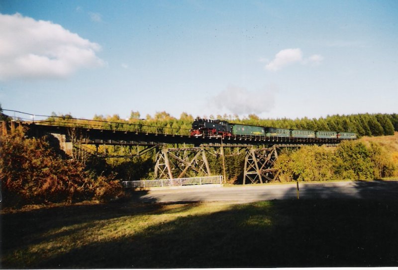 Im Oktober 2003 erreicht ein Zug der Fichtelbergbahn den Bahnhof Oberwiesental.