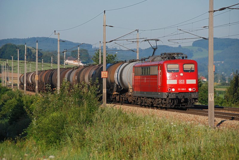 Im schnsten Morgenlicht prsentierte sich am 30.07.2009 die DB 151 168 mit ihrem Kesselwagenzug kurz vor Neulengbach.