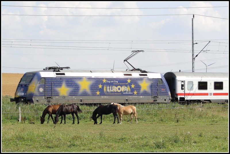 Im Sommer gelang mir die Aufnahme der BR 101 101 „Europa“ und ein paar Pferden die sich nicht durch den durchrauschenden IC st�ren lie�en :-)