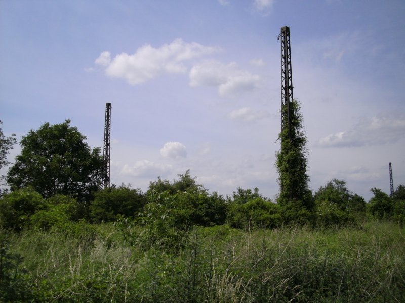 Im Stillgelegten Rangierbahnhofsbereich Buggingen.
berreste des Rangierbahnhofes am 27.05.2009.
Diese kleine Rangierbahnhof an der Strecke Freiburg - Basel diente bis in die 1980er Jahre als Rangierbahnhof fr das Kalibergwerk Buggingen, hier wurden die Wagen fr die weiterfahrt nach Freiburg oder Basel bereitgestellt. 