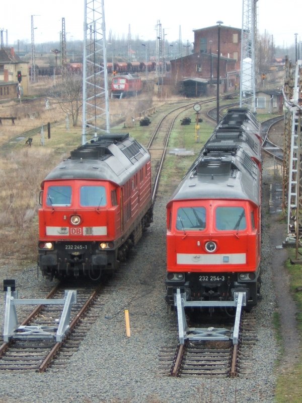 Immer wieder eine Augenweide diese Lok,leider trifft das auf den Gbf Halle(Saale) nicht mehr zu.Am 4.2.2007 standen zu meiner Freude gleich drei verschiedene Lackierungsvarianten zum 
 Abschuss  bereit.