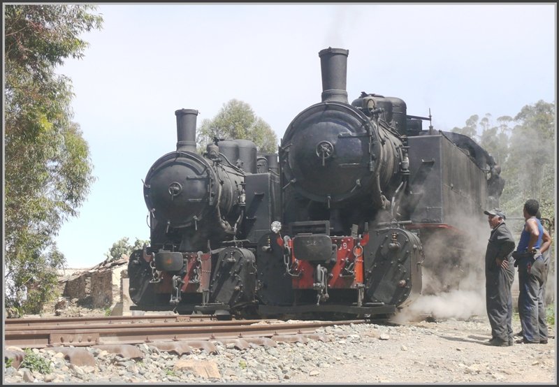 In Arbaroba herrscht Hochbetrieb. Die 442.59 und 442.55 bereiten sich auf die Abfahrt nach Asmara vor. (01.11.2008)