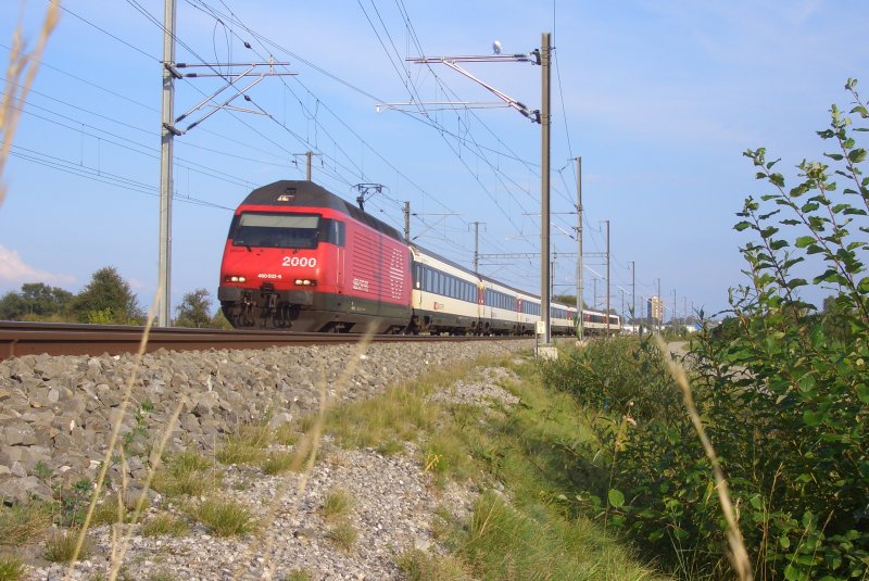 In der  berhmten  Kurve zu Tgerwilen fhrt der IR 2136 mit Re 460 032-6 (ohne Taufname) durch und weiter in Richtung Zrich, Biel. 19.09.09.