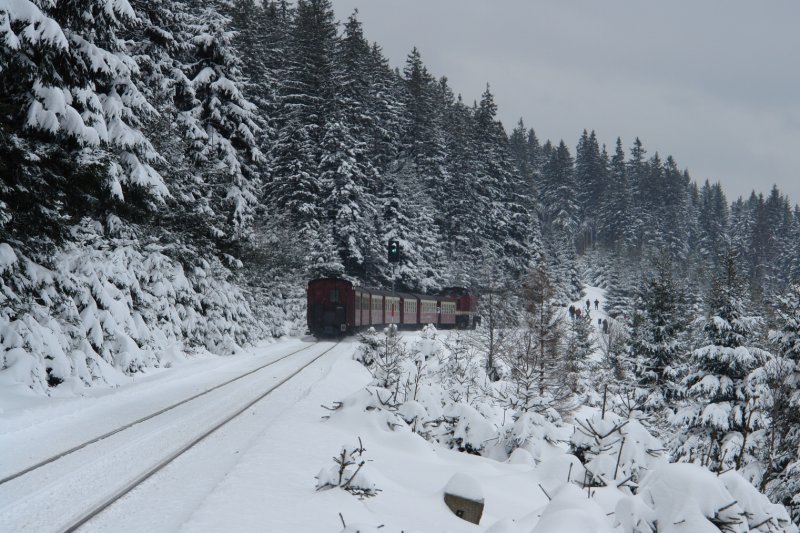 In diesem Bild kommt wegen der gro�en Abma�e der 199 861 besonders gut zur Geltung, dass es sich bei der Diesellok um eine urspr�nglich normalspurige DR-V100 handelt, die Ende der 80'er Jahre die Abl�sung f�r die Neubaudampfloks sein sollte. Zum Gl�ck ist das nicht geschehen und die Dampfloks beherrschen noch heute das Streckennetz der HSB.