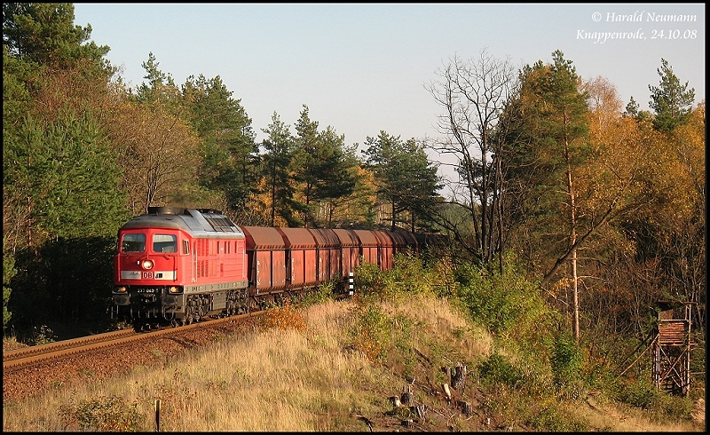 In diesem Herbst ein seltenerer Anblick: 233 043 kommt mit einem PKP-Kohlenzug aus Horka durch den Wald bei Knappenrode, 24.10.08.