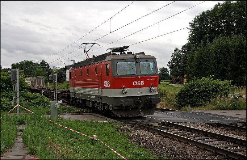 In diesem Sommer haben die 1144er wieder einige KLV Leistungen nach Mnchen wiederbekommen.... 1144 239 (9181 1144 239-1) bringt einen solchen Zug nach Mnchen. (09.07.2008)

