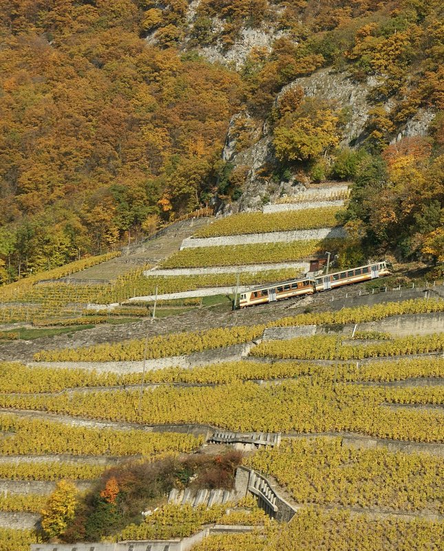 In den gelbbraunen Reben ist der braungelbe Zug der AL auf der Fahrt nach Leysin kaum zu sehen.
(6.November 2008)