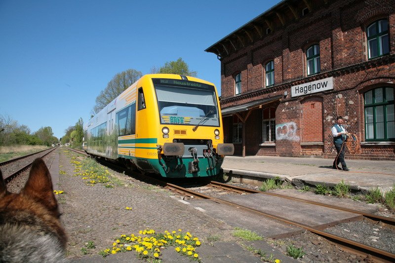 In Hagenow rollt der TF das Ladekabel ein um dann wieder nach Neustrelitz zu fahren und der Hund guckt auch schon wieder auf dem Bahnsteig. 19.04.2009
