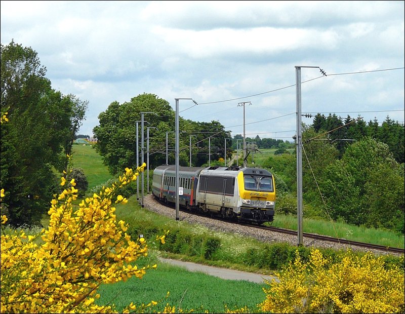 In dieser Jahreszeit passen die gelben Loks wunderbar in die von Ginster berste Landschaft. E-Lok 3009 aus Richtung Lttich fotografiert kurz hinter der Grenze nach Luxemburg am 01.06.08.  