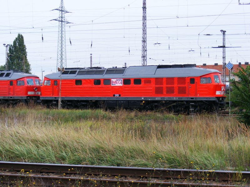 In Magdeburg Rothensee war die Lok 313 der MEG am 10.10.2009 abgestellt zu Betrachten.
Sehr schn , das diese an eine art  Lokzug  gestellt wurde, welcher aus 5 Ludmilla´s bestand.