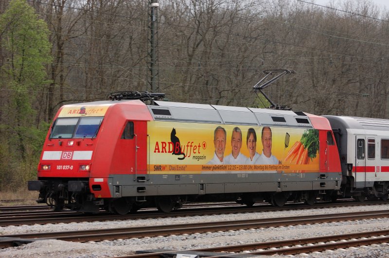 In perfektem Kontrast prsentiert sich 101 037-0  ARD Buffet  im noch dunstigen Morgenlicht der KBS 980 Ulm - Augsburg.