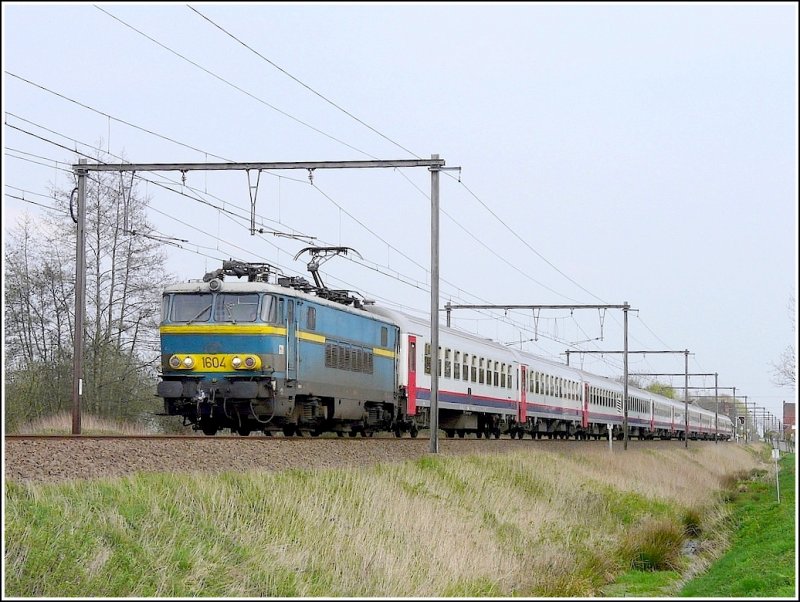 In puncto Geschwindigkeit kann es die alte Dame durchaus noch mit dem modernen Material aufnehmen. E-Lok 1604 mit einer I 10 Zuggarnitur am Hakem fhrt am 10.04.09 als P Zug Schaerbeek-Oostende in Hansbeke am mir vorbei. (Jeanny)