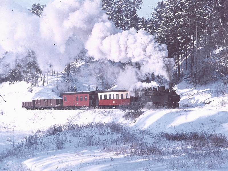 In Richtung Harzgerode waren den Personenzgen in den 70er Jahren stets Gterwagen beigestellt.